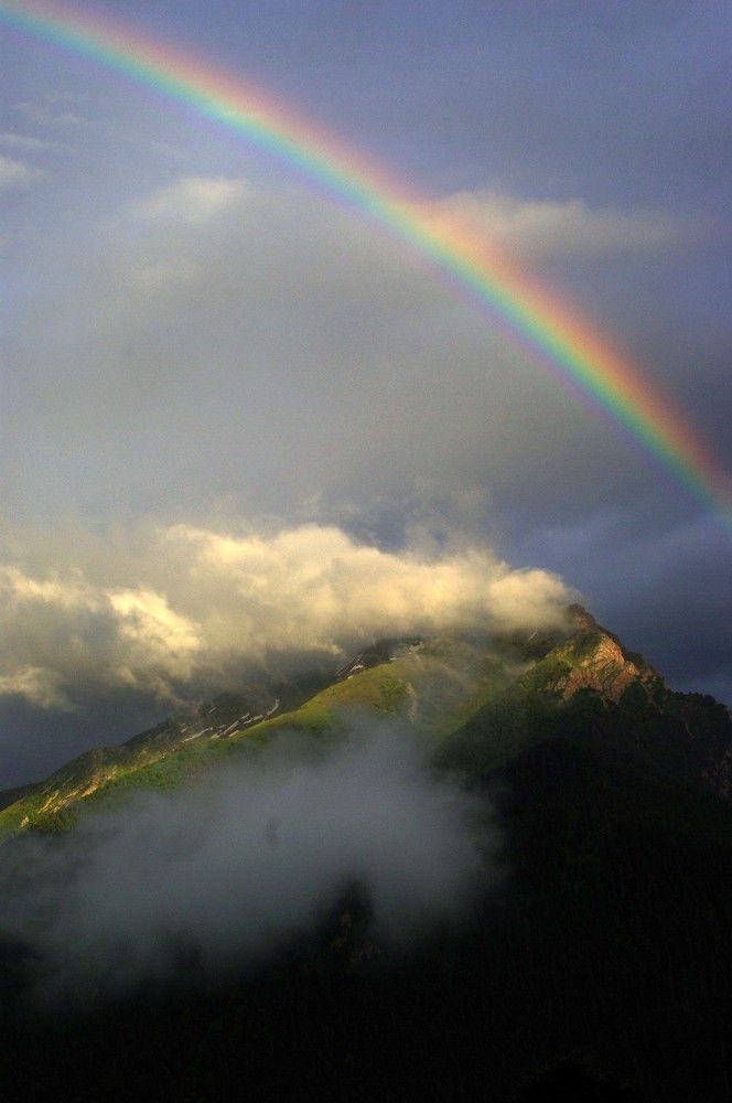 Радужная рапсодия ...