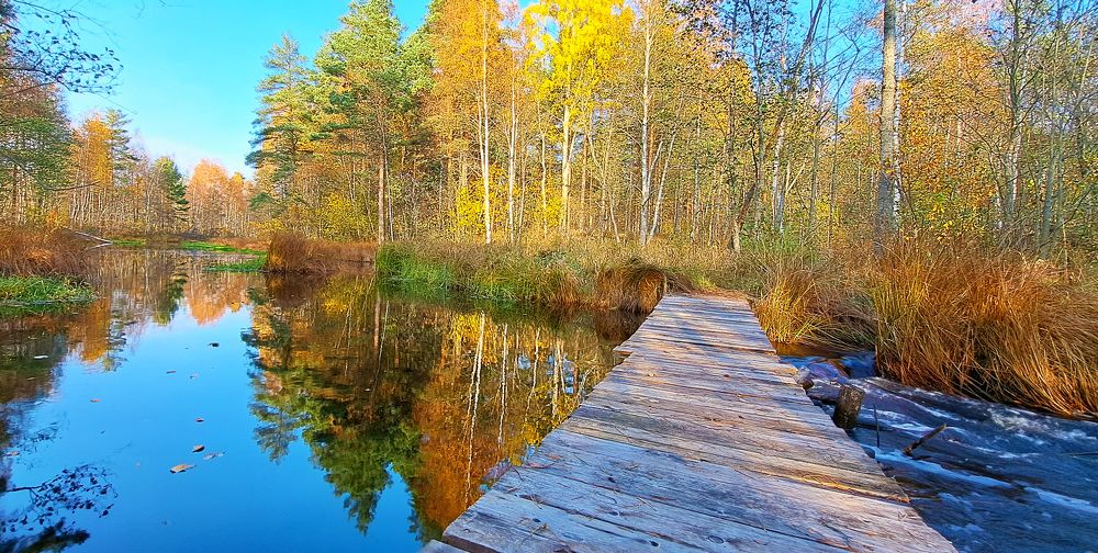 Мостик в осень