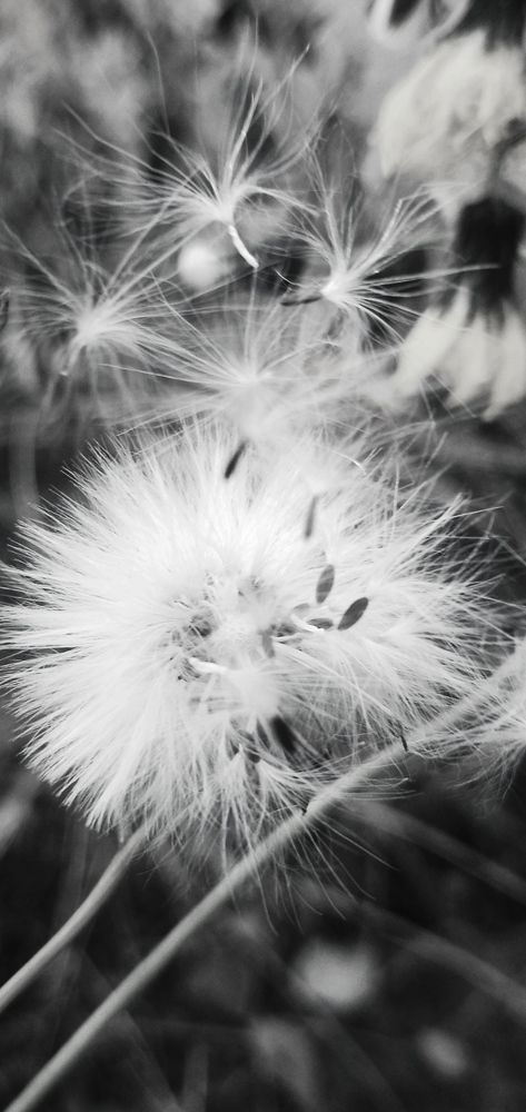 Photograph by Анна