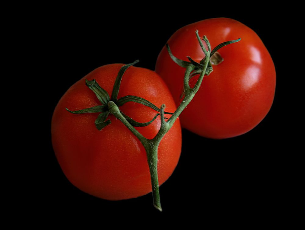 Photograph by Лариса Рулёва