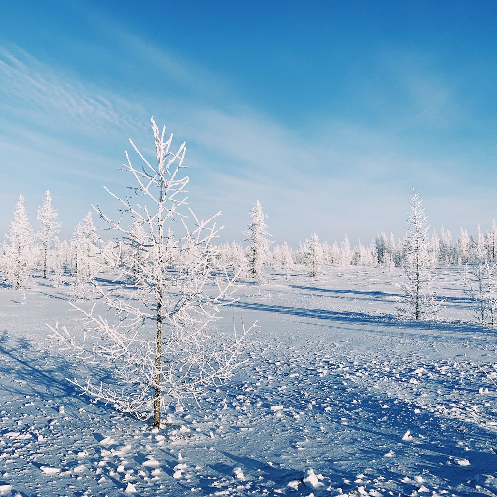 Фотография автора Юрий Пустовит