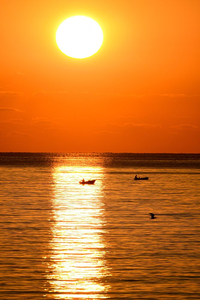 Photograph by Mihail Bacalu