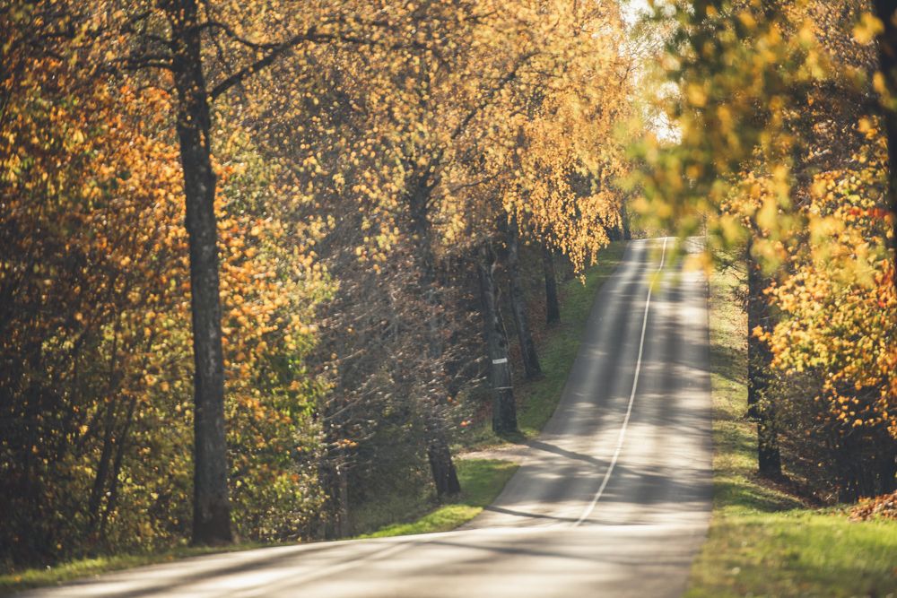 Photograph by Žaneta Bytautiene