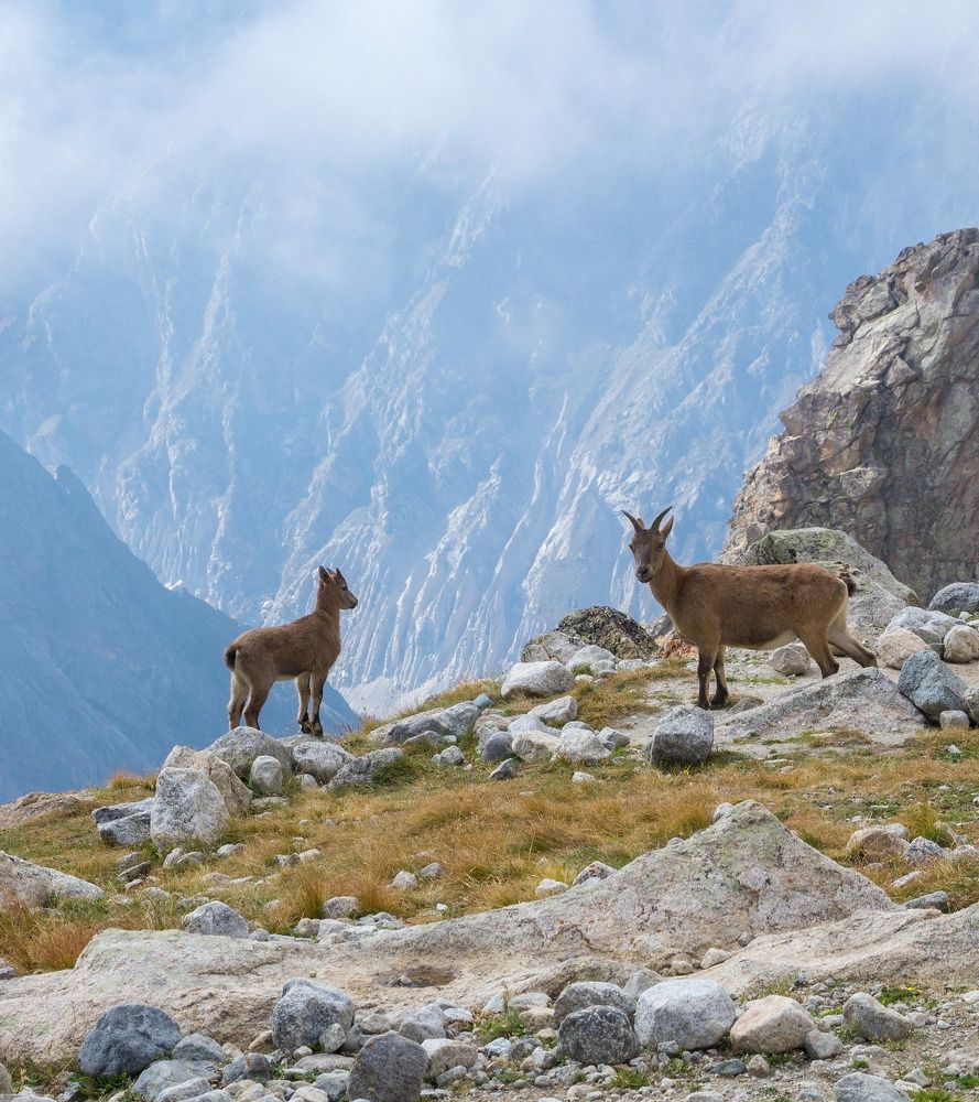 Photograph by Виктор Петров