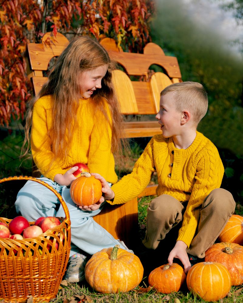 Чья тыква больше?