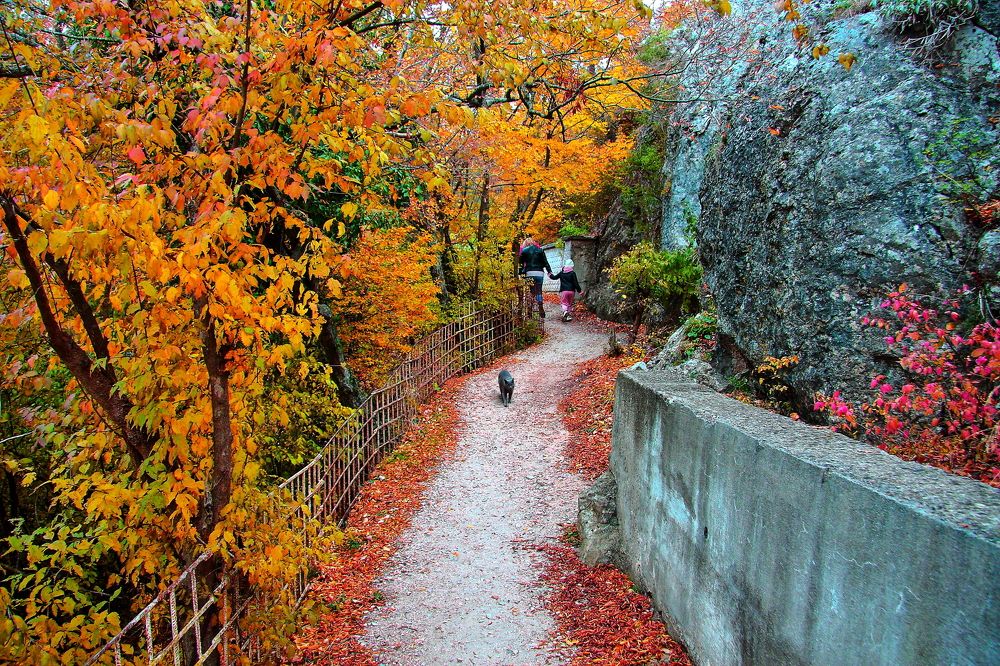 Photograph by Александр Кудрявцев