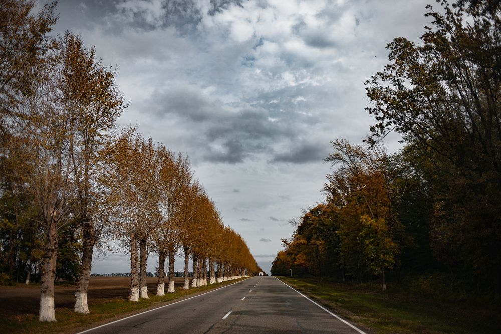 Photograph by Виктория Любимая