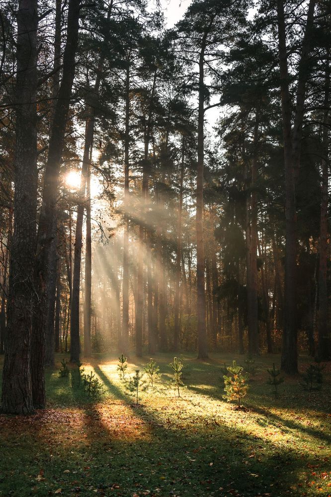 Photograph by Белевитин Михаил