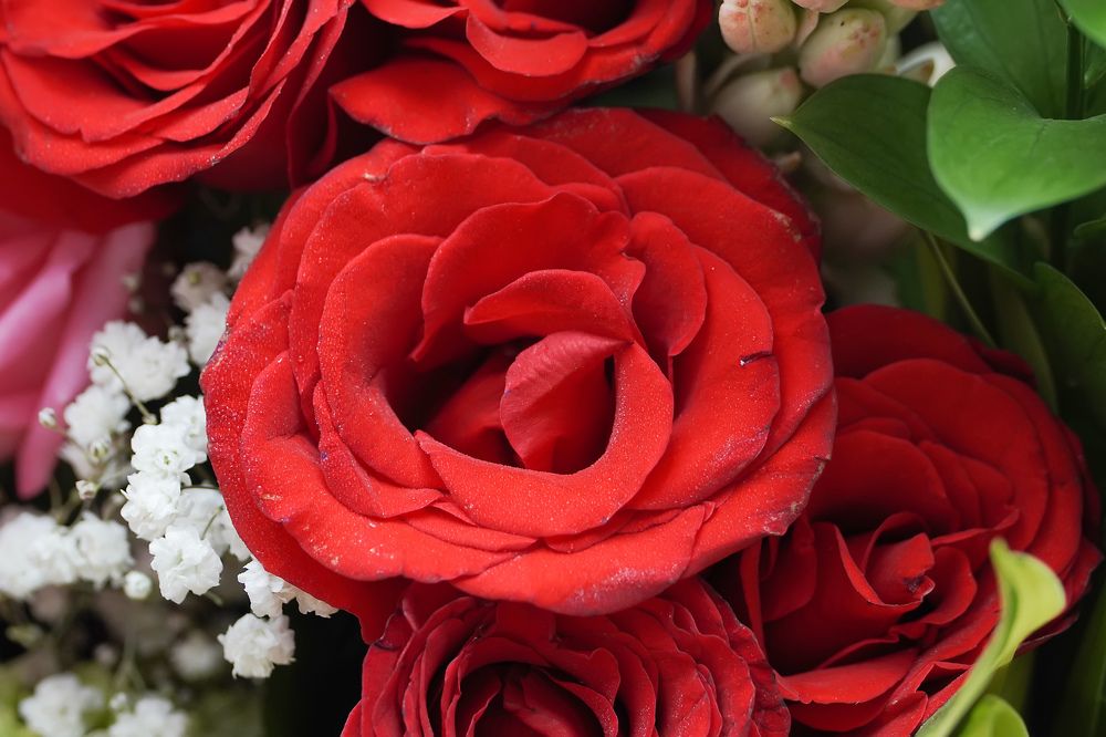 Photograph by Navela Gusti Roby