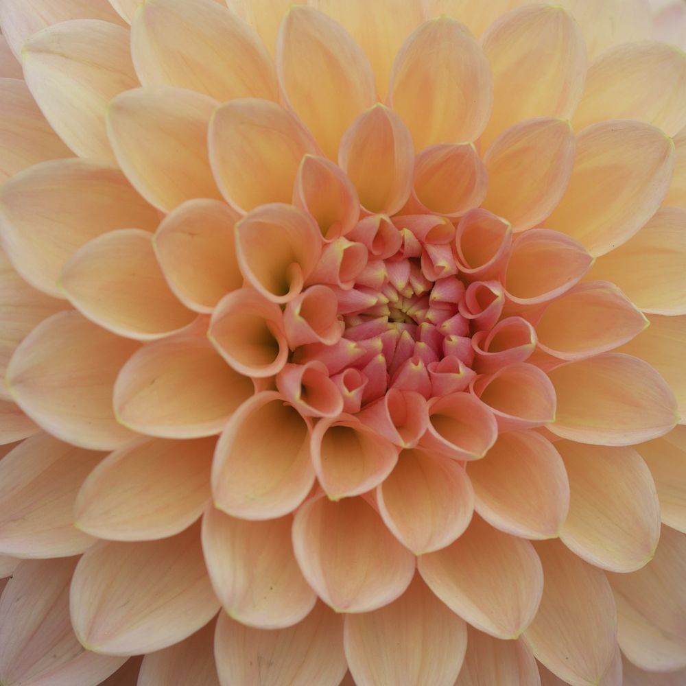 Photograph by Ирина Серегина