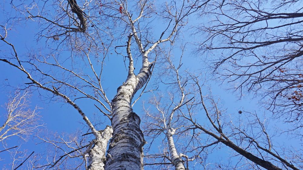 Photograph by Оксана Трофименко