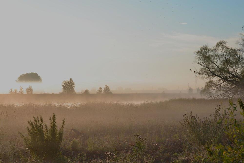 Photograph by Наталья