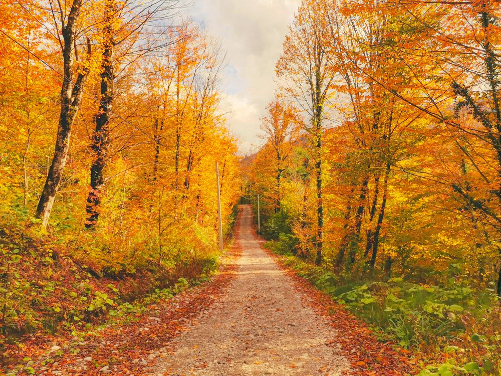 Photograph by Alexandra German