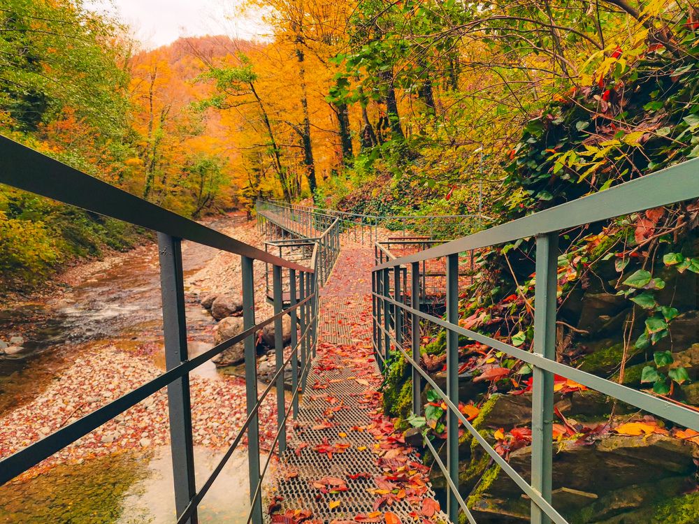 Photograph by Alexandra German