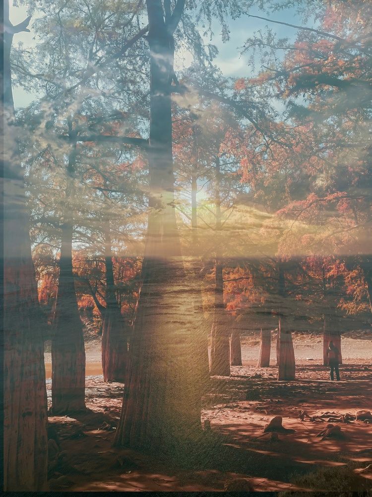 Photograph by Alexandra German