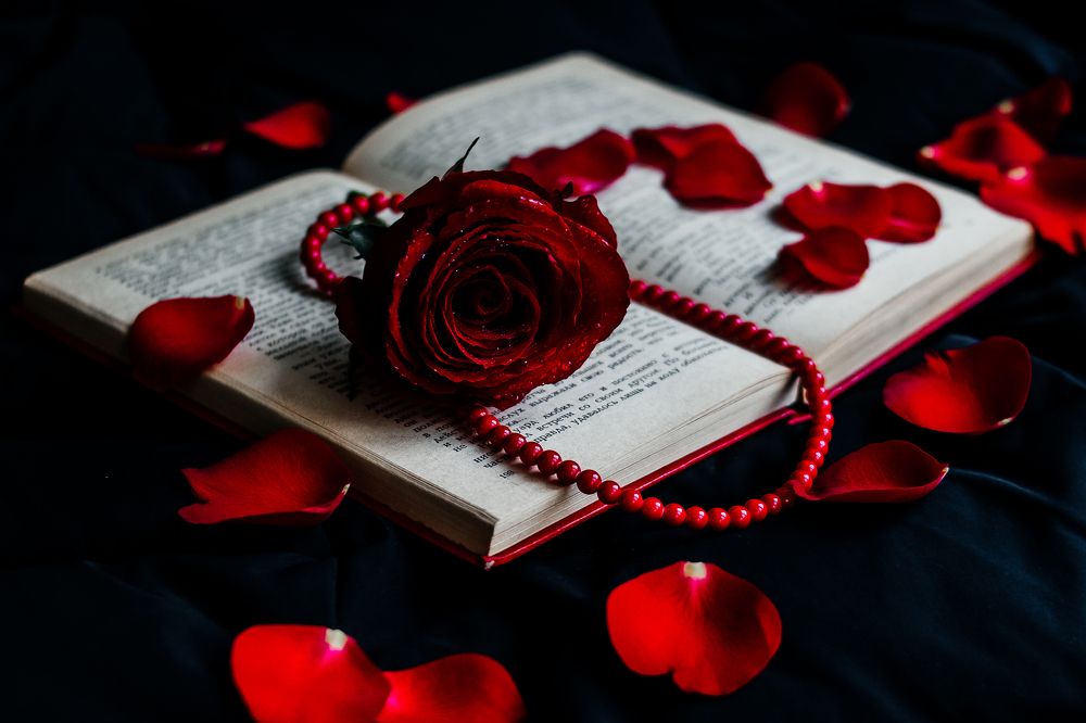 Photograph by Ольга Осинина