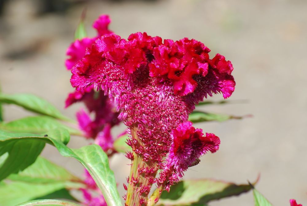 Photograph by Оксана Трофименко