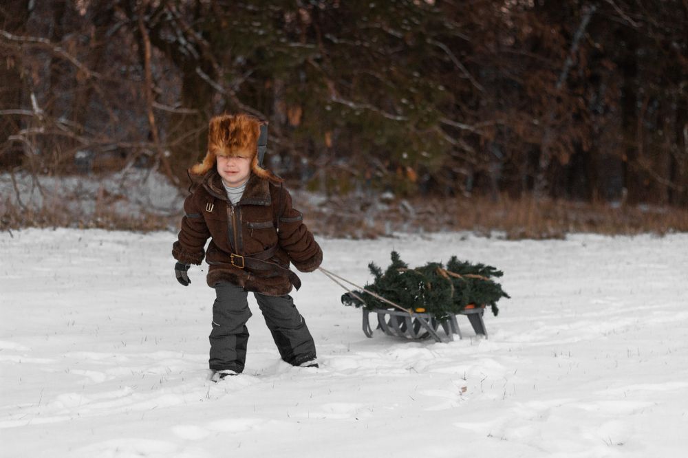Photograph by Екатерина Сковорода