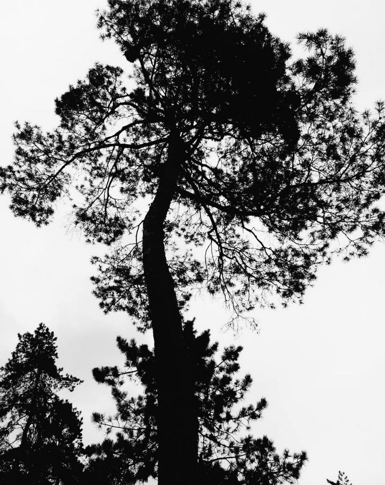 Photograph by Екатерина Дёмина