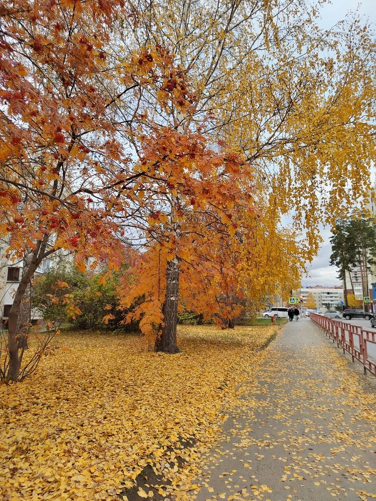 Фотография автора Юлия Лубкина