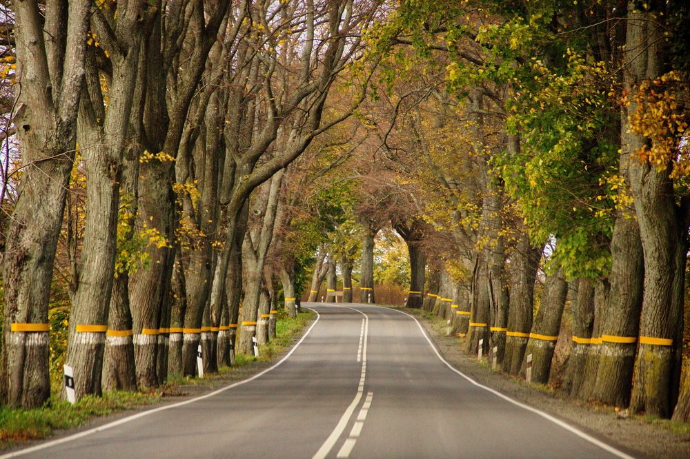 Photograph by Анастасия Радюк