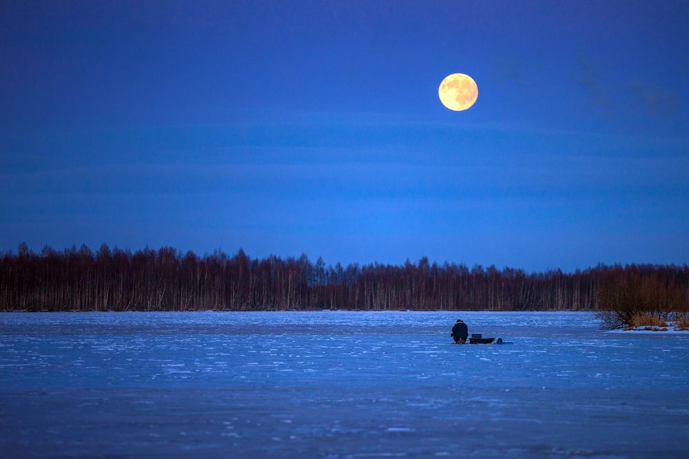 Photograph by Александр Кузнецов