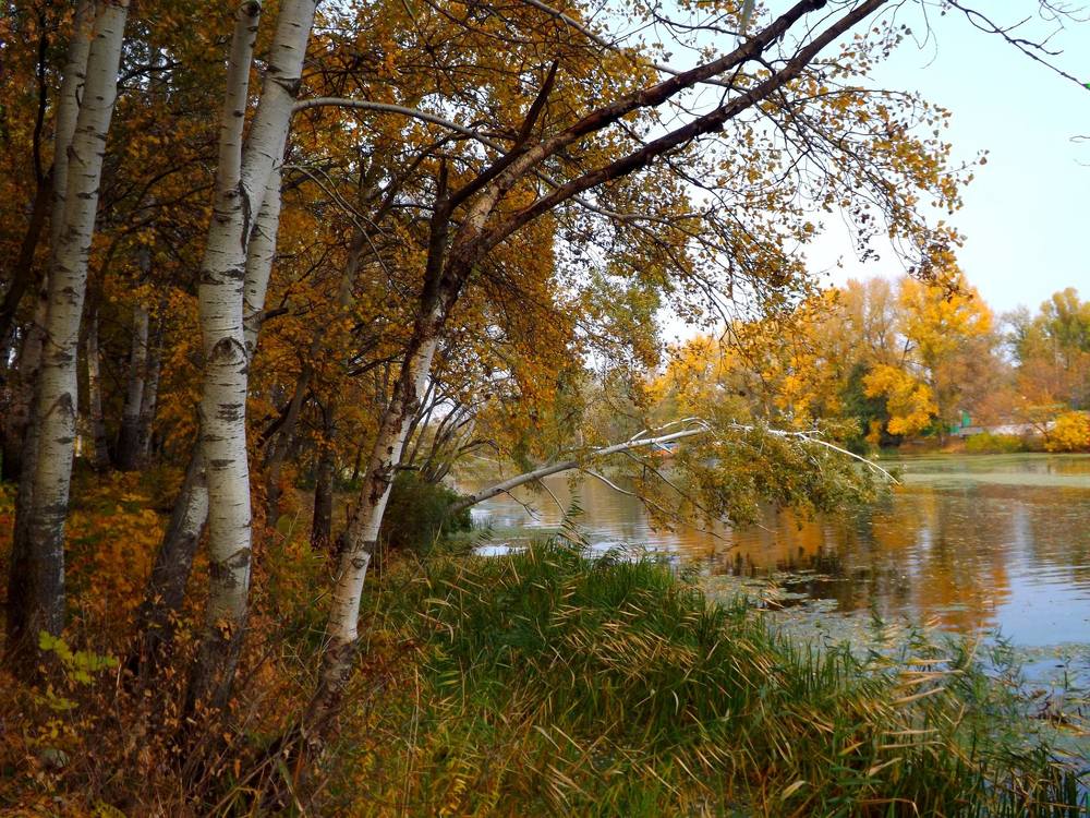 Photograph by Олександр Розум