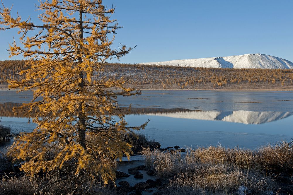 Морозное утро.