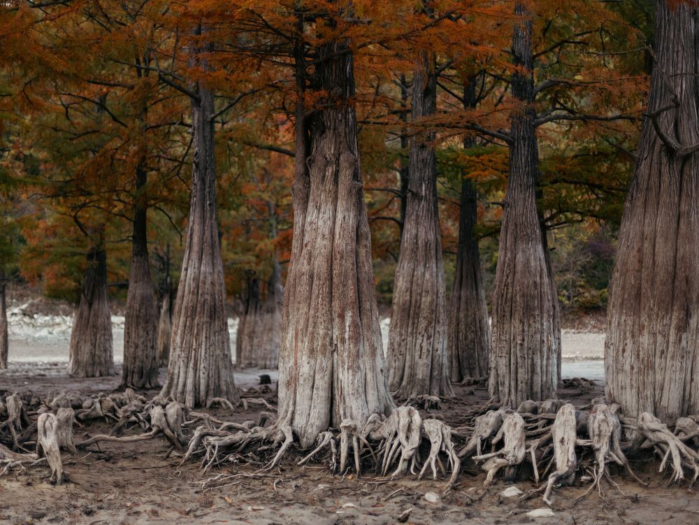 Photograph by Роман Красношапка