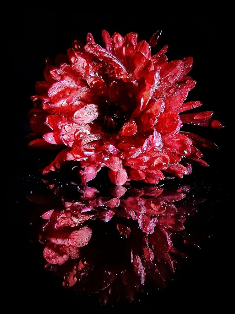 Photograph by Оксана Борисевич