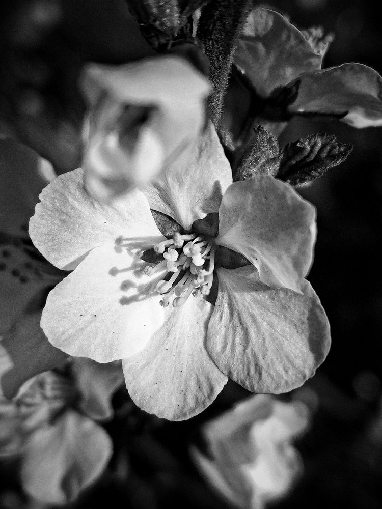 Photograph by Владимир Сушкин