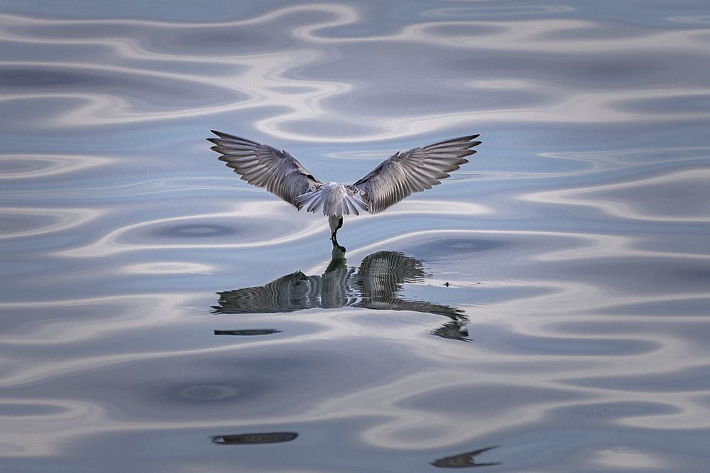 Photograph by Reginald de Guia