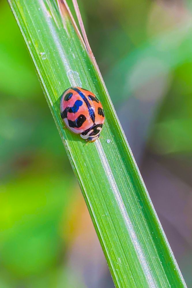 Photograph by Le Thi Bich Phuong