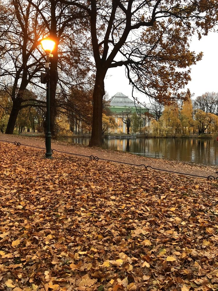 Photograph by Мария Бессмертная