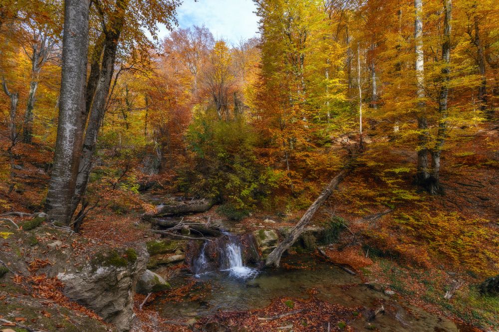 Photograph by Юлия Мальцева