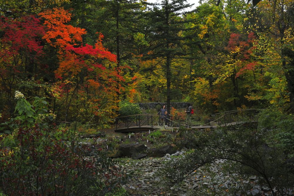 Ботанический сад