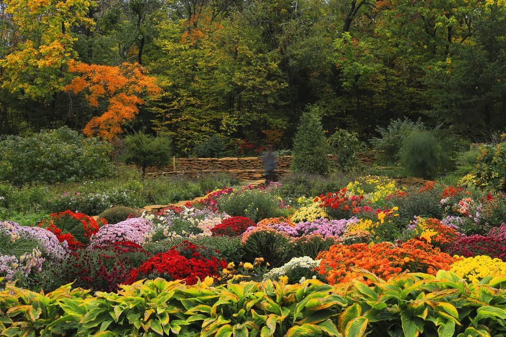 Фотография автора Александр Свистоплясов