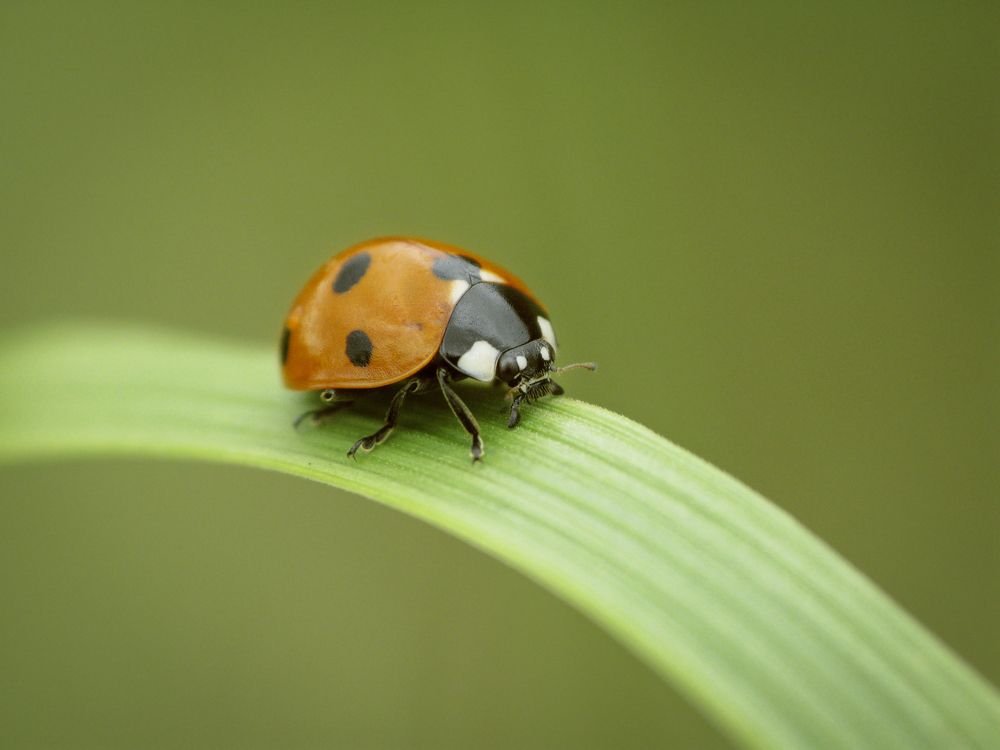 Photograph by Юлия Микульская
