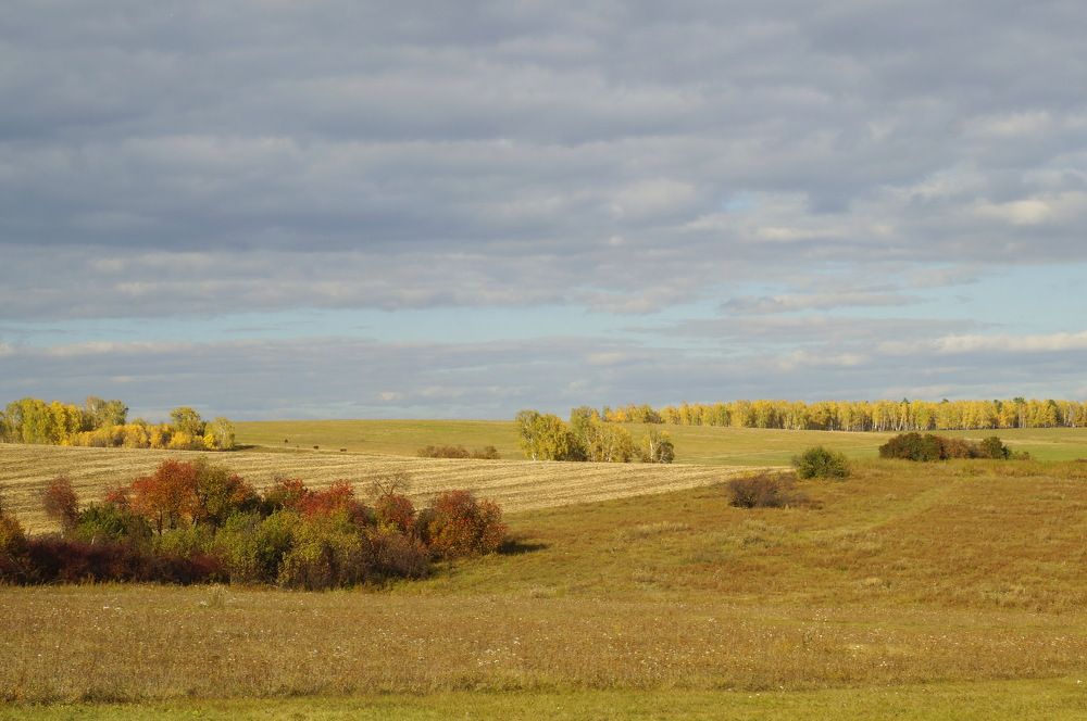 Photograph by Ольга Воронова