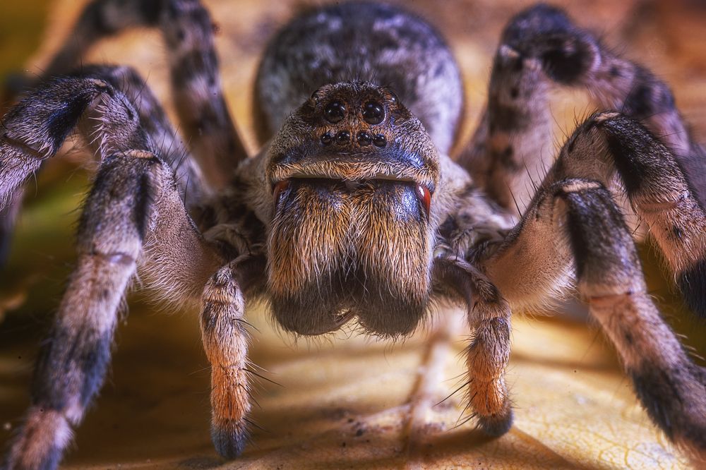 Photograph by Сергей Алтуфьев