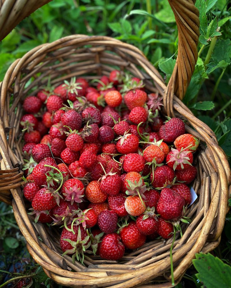 Photograph by Светлана Коган