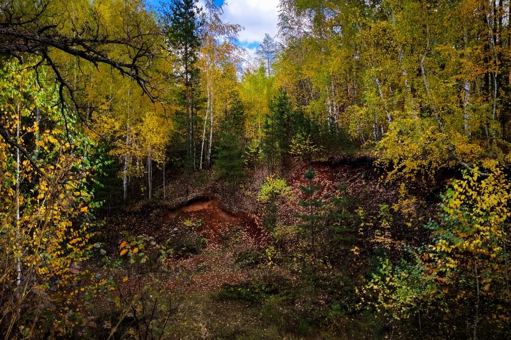 Photograph by Сергей Горбунов