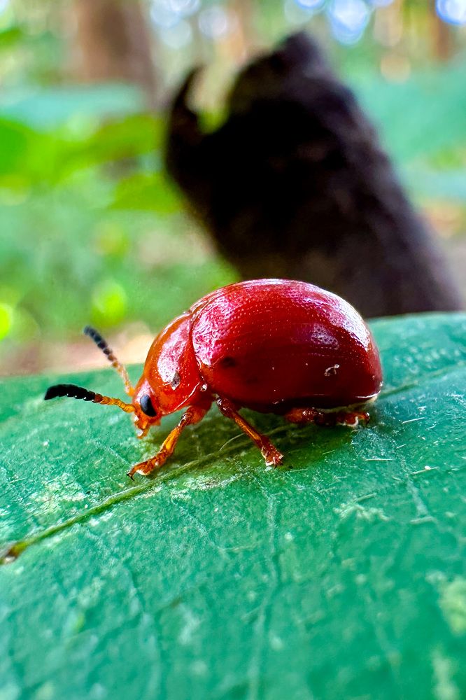 Фотография автора Ko Thant