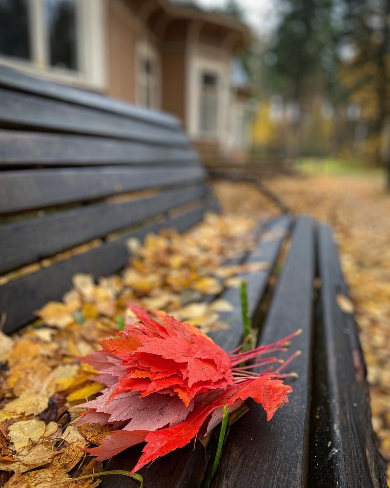 Photograph by Светлана Коган