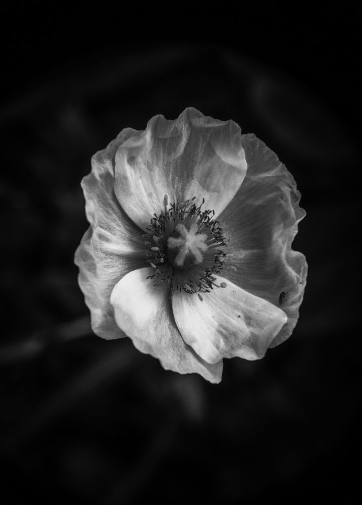 Photograph by Arindam Sahoo