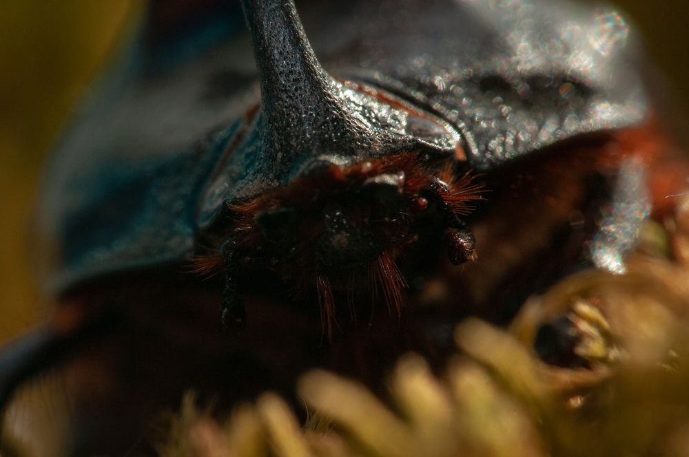 Photograph by Виталий Маслов