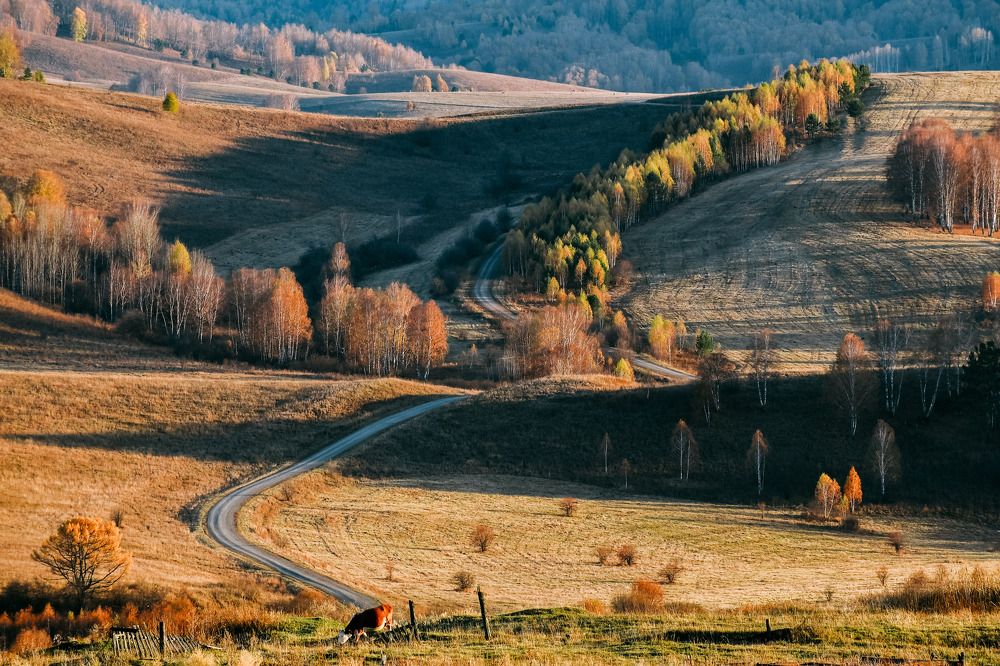 Photograph by Татьяна Мещерякова