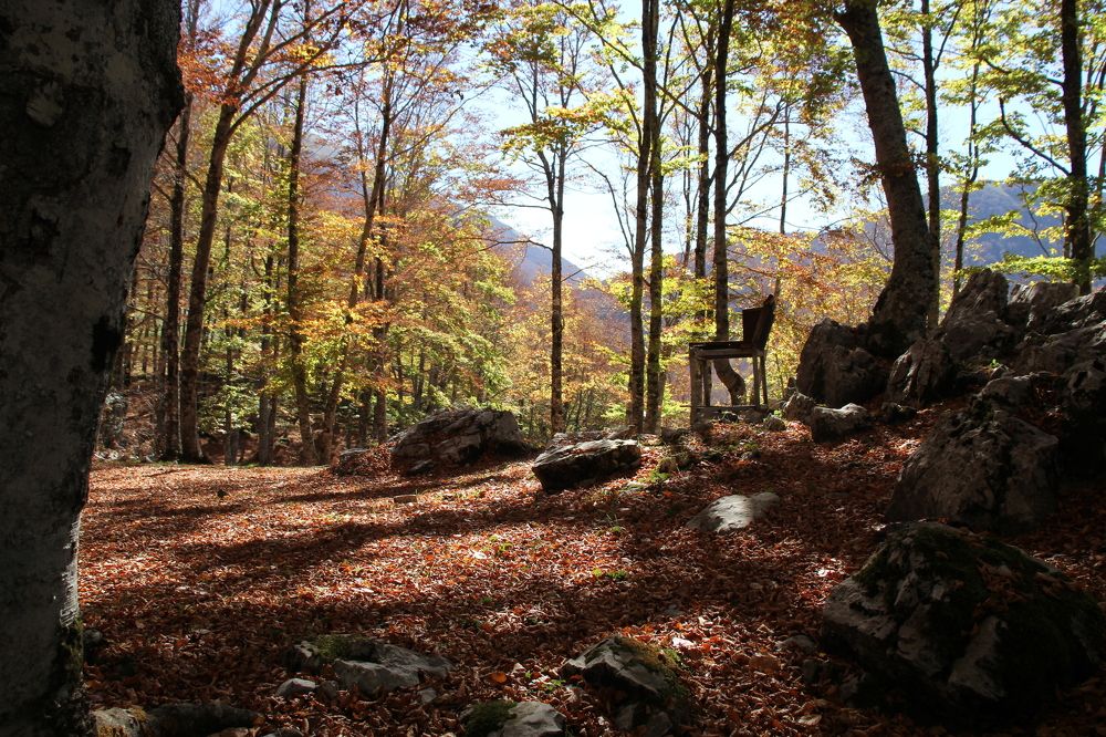 Photograph by Nadzeya