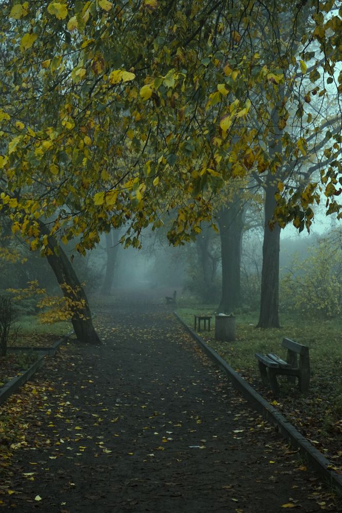 Photograph by Ирина Шпак