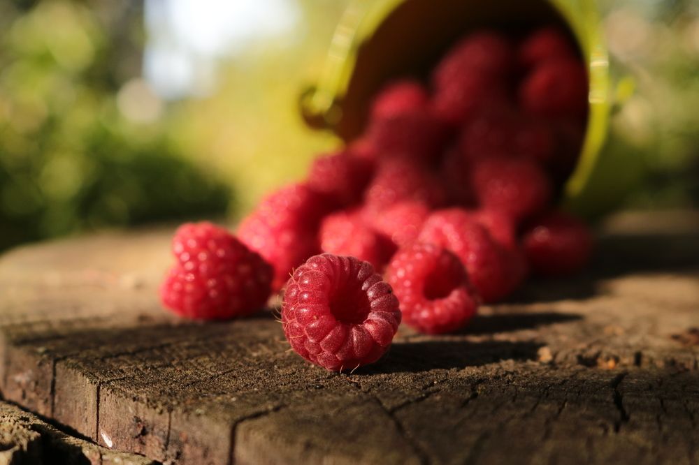 Photograph by Наталья Клячина